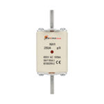 DC FUSES 250A 1