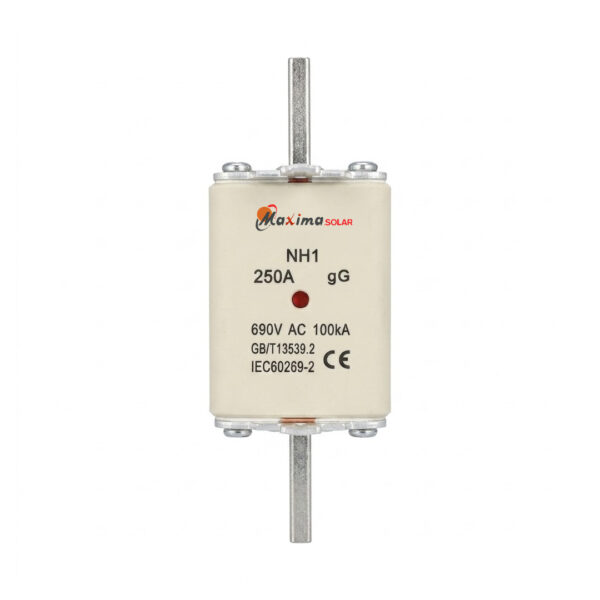 DC FUSES 250A 1